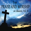 Top Praise and Worship on Ukulele, Vol. 3