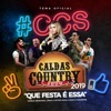 Que Festa É Essa (Caldas Country 2019) - Single