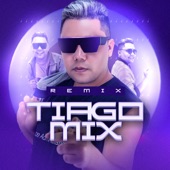 PITBULL ENRAIVADO (Remix Tiago Mix) artwork