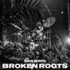 Broken Roots - EP