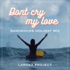 Don't Cry My Love (SandRocks Holiday Mix) - Single