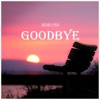 Goodbye - Single
