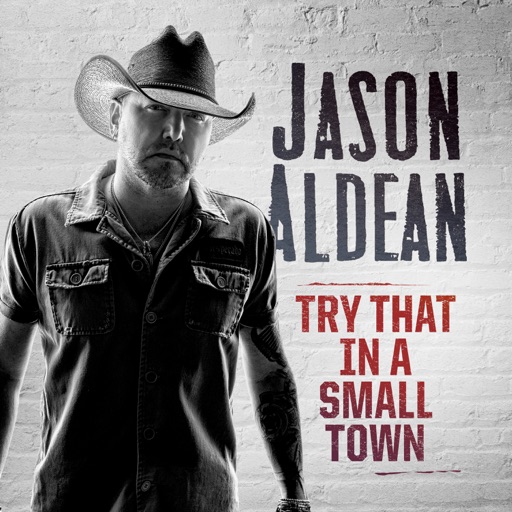 Art for Try That In A Small Town by Jason Aldean