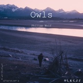 Owls (Edit) artwork