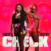 Check - Single album lyrics, reviews, download