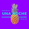 Una Noche En Medellin (Remix) song lyrics