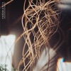 Faodail - Strangers Gone Missing