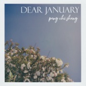 Dear January artwork