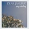 Dear January artwork