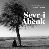 Seyr-i Ahenk artwork