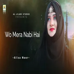 Wo Mera Nabi Hai - Single by Aliza Noor album reviews, ratings, credits