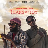 Tarrus  Riley, 10Tik - Tears of Joy