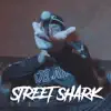 Stream & download Streetshark - Single