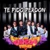 Te Pido Perdón - Single