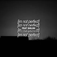 I'm Not Perfect Song Lyrics