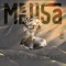 Medusa (feat. Delisha) - Gunz lyrics