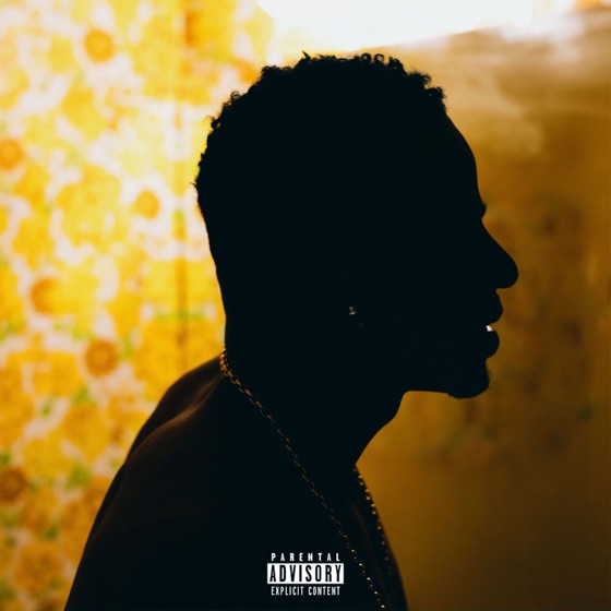 Cover artwork for Euphoric