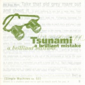 Tsunami - Hockey