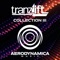 Flying Martlets (tranzLift Album Remix) - Artur lyrics