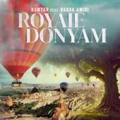 Royaie Donyam (feat. Babak Amini) artwork