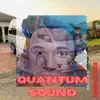 Stream & download Quantum Sound (feat. Megahertz) - Single