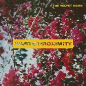 The Velvet Gems - Waste