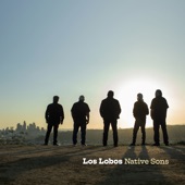 Los Lobos - Love Special Delivery
