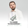 Ya Habibi Ya Muhammad - Single