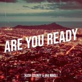Are You Ready artwork
