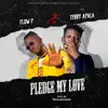 Pledge My Love (feat. Terry Apala) - Single album lyrics, reviews, download