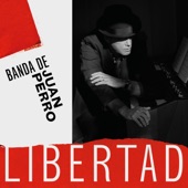 Libertad artwork