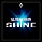 Shine - Vlad Pingin lyrics