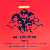 Mi Socorro (feat. Lizzy Parra, Alex Linares, 3R El Hijo Del Rey & Taylord Emisario) [Remix] artwork