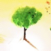 Steady-State - Single