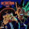 Stream & download Can't Move Wrong (feat. Luh Tyler & Trapland Pat) [Fast] - Single