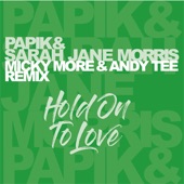 Hold on to Love (Micky More & Andy Tee Remix Radio Edit) artwork