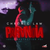 Paranoia (Self Protection P2) artwork