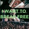I Want To Break Free (Versión Cumbia Ranchera) artwork