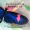 Everything For You - Saccao lyrics