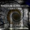 Raus (feat. Feldgrau) - Lioc lyrics