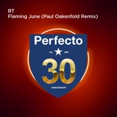 Flaming June (Paul Oakenfold Extended Remix) artwork