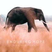 Enduring Hope artwork