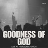 Goodness of God - Single
