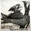 Flying over the Cuckoo's nest (Extended Version) - Single album lyrics, reviews, download