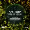 Stream & download Embrace the Pain (Smalltown Collective Remix) - Single