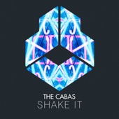 Shake It (Extended Mix) artwork