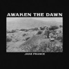 Awaken the Dawn - Single