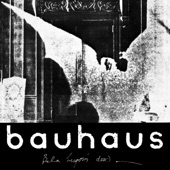 Bauhaus - Bite My Hip