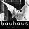 Bela Lugosi's Dead (Official Version) - Bauhaus lyrics