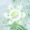 Pvz - v4zer lyrics